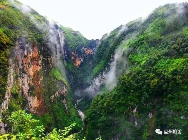 墨染青春 妙笔生花(97)|那份深沉的爱