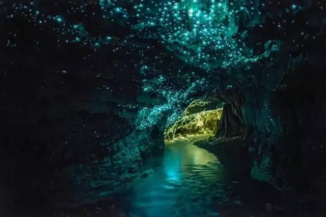 星露谷物语